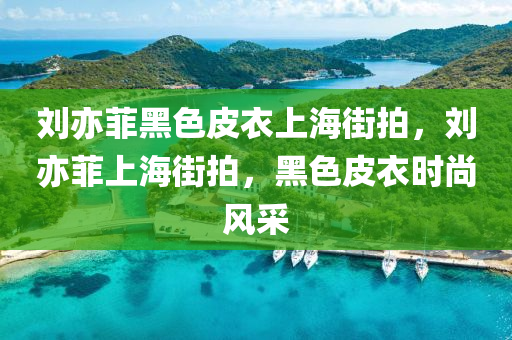 刘亦菲黑色皮衣上海街拍，刘亦菲上海街拍，黑色皮衣时尚风采