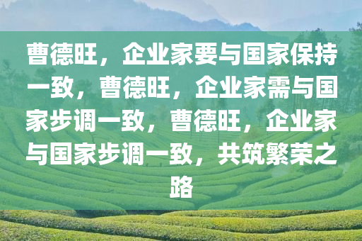 曹德旺，企业家要与国家保持一致，曹德旺，企业家需与国家步调一致，曹德旺，企业家与国家步调一致，共筑繁荣之路