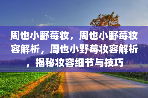 周也小野莓妆，周也小野莓妆容解析，周也小野莓妆容解析，揭秘妆容细节与技巧