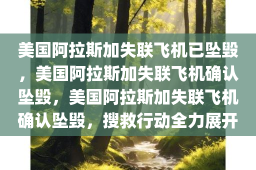 美国阿拉斯加失联飞机已坠毁，美国阿拉斯加失联飞机确认坠毁，美国阿拉斯加失联飞机确认坠毁，搜救行动全力展开