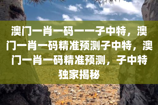 澳门一肖一码一一子中特，澳门一肖一码精准预测子中特，澳门一肖一码精准预测，子中特独家揭秘