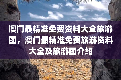 澳门最精准免费资料大全旅游团，澳门最精准免费旅游资料大全及旅游团介绍