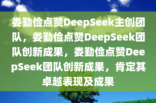 娄勤俭点赞DeepSeek主创团队，娄勤俭点赞DeepSeek团队创新成果，娄勤俭点赞DeepSeek团队创新成果，肯定其卓越表现及成果