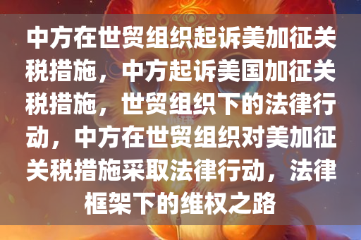 中方在世贸组织起诉美加征关税措施，中方起诉美国加征关税措施，世贸组织下的法律行动，中方在世贸组织对美加征关税措施采取法律行动，法律框架下的维权之路