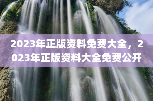 2023年正版资料免费大全，2023年正版资料大全免费公开
