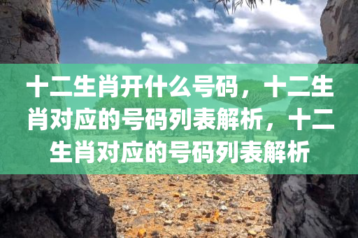 十二生肖开什么号码，十二生肖对应的号码列表解析，十二生肖对应的号码列表解析
