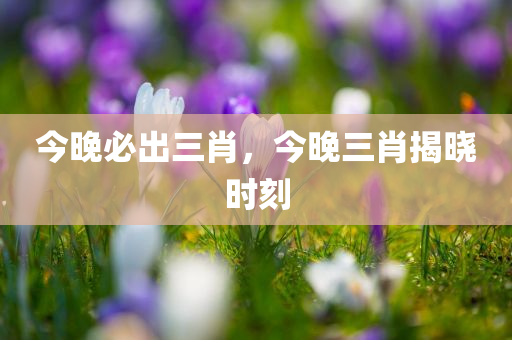 今晚必出三肖，今晚三肖揭晓时刻
