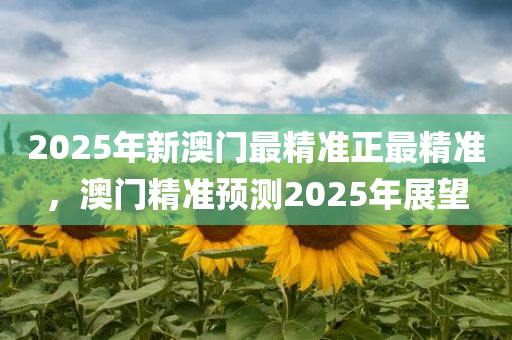 2025年新澳门最精准正最精准，澳门精准预测2025年展望