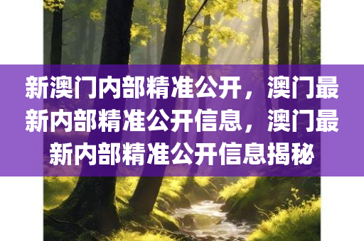 新澳门内部精准公开，澳门最新内部精准公开信息，澳门最新内部精准公开信息揭秘