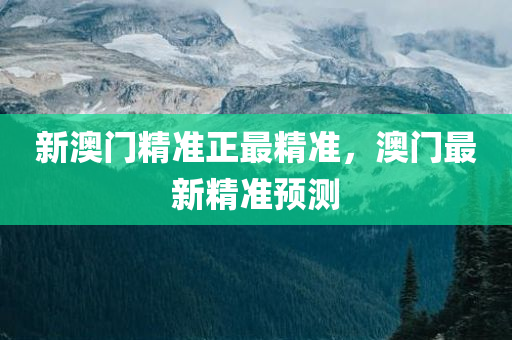 新澳门精准正最精准，澳门最新精准预测
