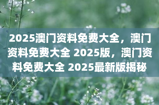 2025澳门资料免费大全，澳门资料免费大全 2025版，澳门资料免费大全 2025最新版揭秘