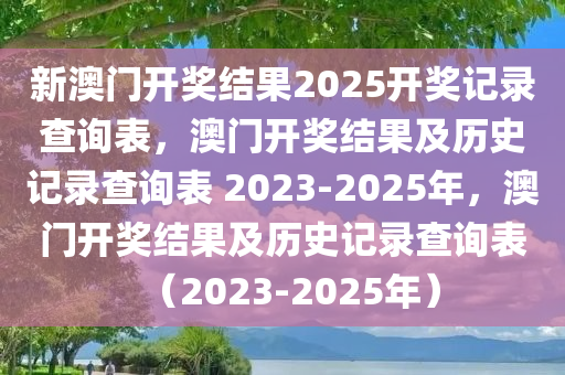 新澳门开奖结果2025开奖记录查询表，澳门开奖结果及历史记录查询表 2023-2025年，澳门开奖结果及历史记录查询表（2023-2025年）