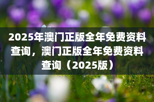 2025年澳门正版全年免费资料查询，澳门正版全年免费资料查询（2025版）