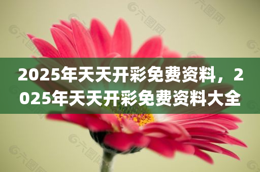 2025年天天开彩免费资料，2025年天天开彩免费资料大全