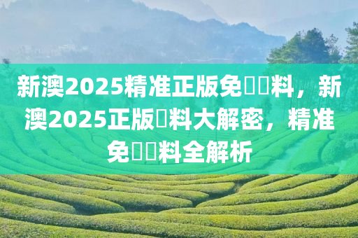 新澳2025精准正版免費資料，新澳2025正版資料大解密，精准免費資料全解析