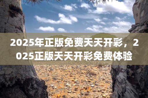 2025年正版免费天天开彩，2025正版天天开彩免费体验