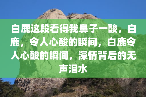 白鹿这段看得我鼻子一酸，白鹿，令人心酸的瞬间，白鹿令人心酸的瞬间，深情背后的无声泪水