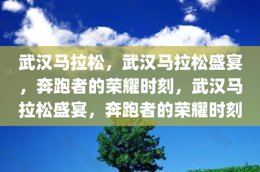 武汉马拉松，武汉马拉松盛宴，奔跑者的荣耀时刻，武汉马拉松盛宴，奔跑者的荣耀时刻