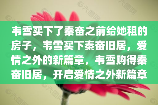 韦雪买下了秦奋之前给她租的房子，韦雪买下秦奋旧居，爱情之外的新篇章，韦雪购得秦奋旧居，开启爱情之外新篇章