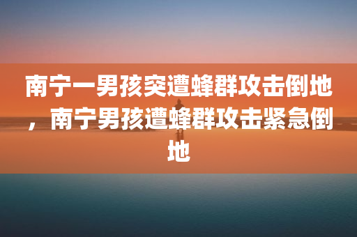 南宁一男孩突遭蜂群攻击倒地，南宁男孩遭蜂群攻击紧急倒地