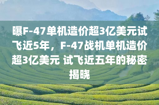 曝F-47单机造价超3亿美元试飞近5年，F(xiàn)-47战机单机造价超3亿美元 试飞近五年的秘密揭晓
