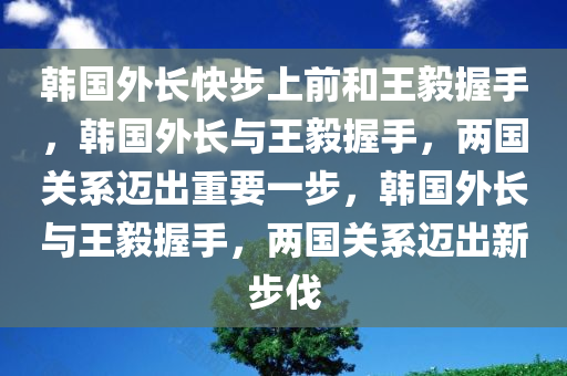 韩国外长快步上前和王毅握手，韩国外长与王毅握手，两国关系迈出重要一步，韩国外长与王毅握手，两国关系迈出新步伐