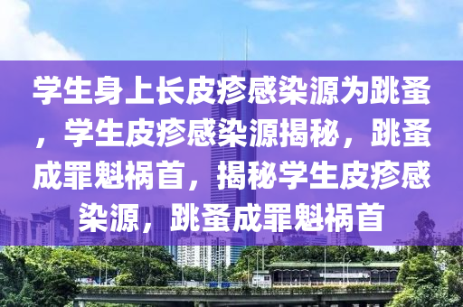 学生身上长皮疹感染源为跳蚤，学生皮疹感染源揭秘，跳蚤成罪魁祸首，揭秘学生皮疹感染源，跳蚤成罪魁祸首