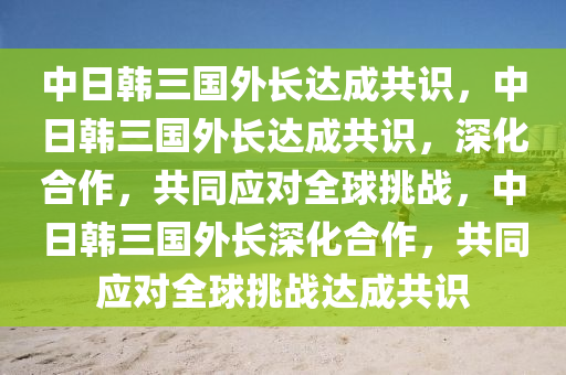 中日韩三国外长达成共识，中日韩三国外长达成共识，深化合作，共同应对全球挑战，中日韩三国外长深化合作，共同应对全球挑战达成共识