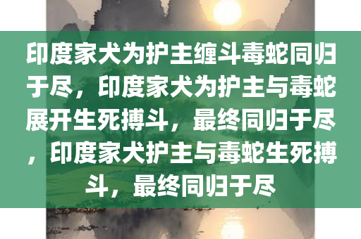 印度家犬为护主缠斗毒蛇同归于尽，印度家犬为护主与毒蛇展开生死搏斗，最终同归于尽，印度家犬护主与毒蛇生死搏斗，最终同归于尽