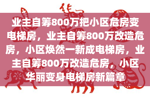 业主自筹800万把小区危房变电梯房，业主自筹800万改造危房，小区焕然一新成电梯房，业主自筹800万改造危房，小区华丽变身电梯房新篇章