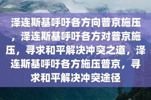 泽连斯基呼吁各方向普京施压