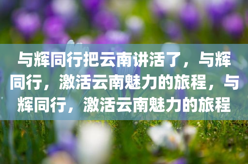 与辉同行把云南讲活了，与辉同行，激活云南魅力的旅程，与辉同行，激活云南魅力的旅程