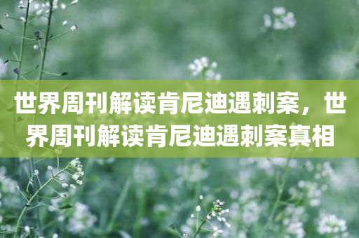 世界周刊解读肯尼迪遇刺案，世界周刊解读肯尼迪遇刺案真相