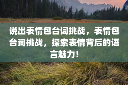 说出表情包台词挑战，表情包台词挑战，探索表情背后的语言魅力！