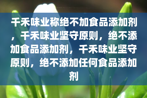 千禾味业称绝不加食品添加剂，千禾味业坚守原则，绝不添加食品添加剂，千禾味业坚守原则，绝不添加任何食品添加剂
