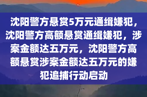 沈阳警方悬赏5万元通缉嫌犯，沈阳警方高额悬赏通缉嫌犯，涉案金额达五万元，沈阳警方高额悬赏涉案金额达五万元的嫌犯追捕行动启动