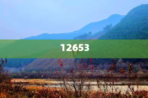 2020华为近期事件新进展,解释落实权威_TRY版?SAR56