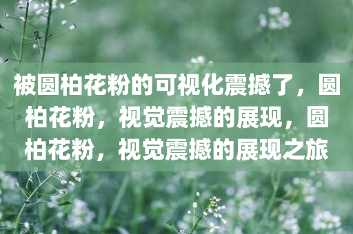 被圆柏花粉的可视化震撼了，圆柏花粉，视觉震撼的展现，圆柏花粉，视觉震撼的展现之旅