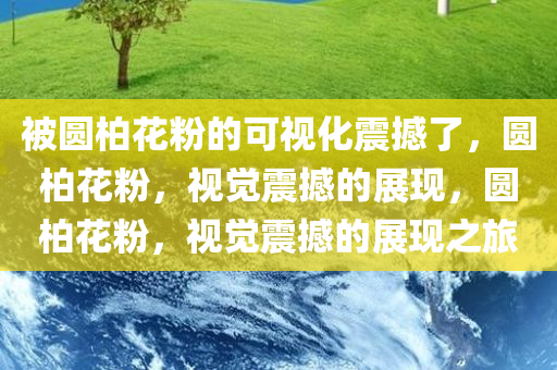 被圆柏花粉的可视化震撼了，圆柏花粉，视觉震撼的展现，圆柏花粉，视觉震撼的展现之旅