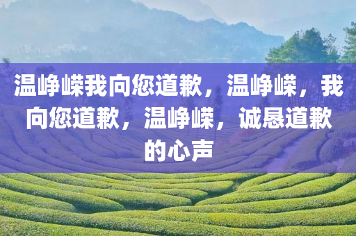温峥嵘我向您道歉，温峥嵘，我向您道歉，温峥嵘，诚恳道歉的心声