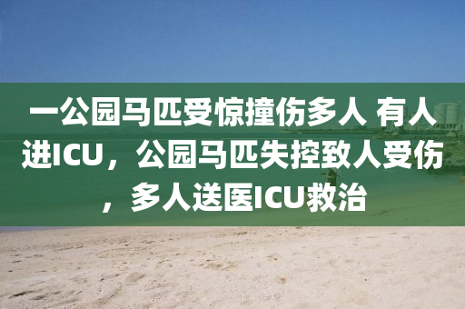 一公园马匹受惊撞伤多人 有人进ICU，公园马匹失控致人受伤，多人送医ICU救治