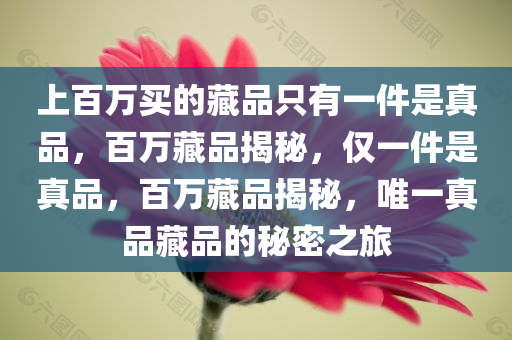 上百万买的藏品只有一件是真品，百万藏品揭秘，仅一件是真品，百万藏品揭秘，唯一真品藏品的秘密之旅