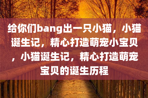给你们bang出一只小猫，小猫诞生记，精心打造萌宠小宝贝，小猫诞生记，精心打造萌宠宝贝的诞生历程