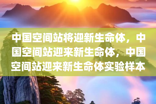 中国空间站将迎新生命体，中国空间站迎来新生命体，中国空间站迎来新生命体实验样本