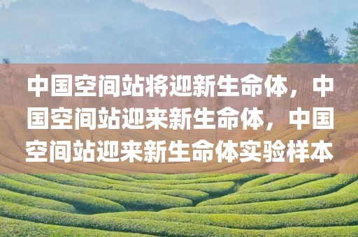 中国空间站将迎新生命体，中国空间站迎来新生命体，中国空间站迎来新生命体实验样本