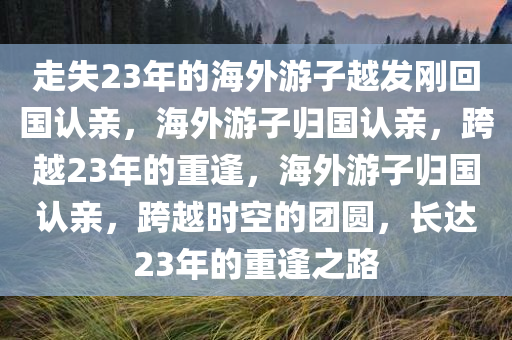 走失23年的海外游子越发刚回国认亲，海外游子归国认亲，跨越23年的重逢，海外游子归国认亲，跨越时空的团圆，长达23年的重逢之路