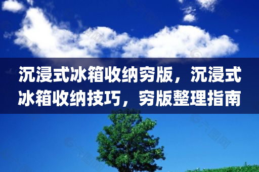 沉浸式冰箱收纳穷版，沉浸式冰箱收纳技巧，穷版整理指南