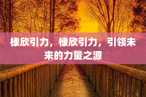 棣欣引力，棣欣引力，引领未来的力量之源