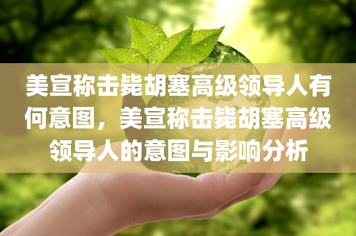美宣称击毙胡塞高级领导人有何意图，美宣称击毙胡塞高级领导人的意图与影响分析