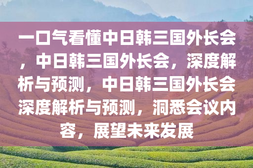 一口气看懂中日韩三国外长会，中日韩三国外长会，深度解析与预测，中日韩三国外长会深度解析与预测，洞悉会议内容，展望未来发展